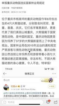 重庆城管局最新爆料,揭秘城市治理背后的故事 第1张 重庆城管局最新爆料,揭秘城市治理背后的故事 第1张